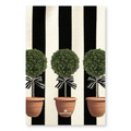  home and kitchen product