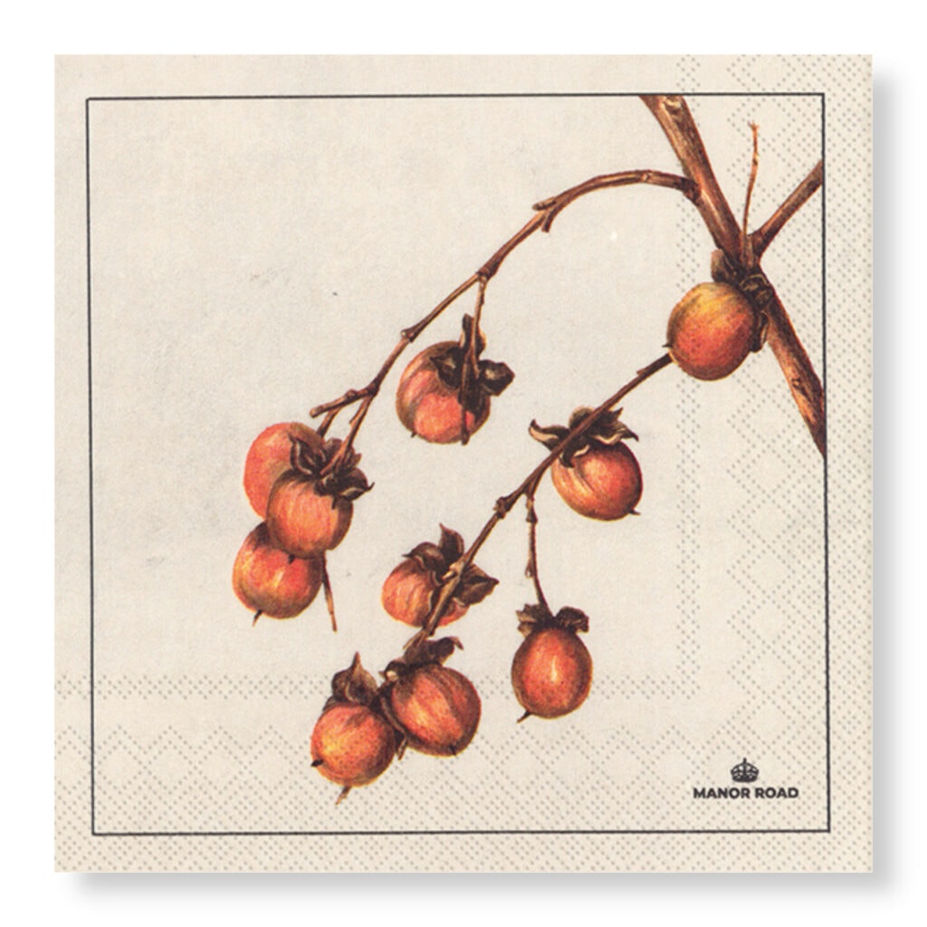 Persimmon Napkins - Luncheon / Cocktail