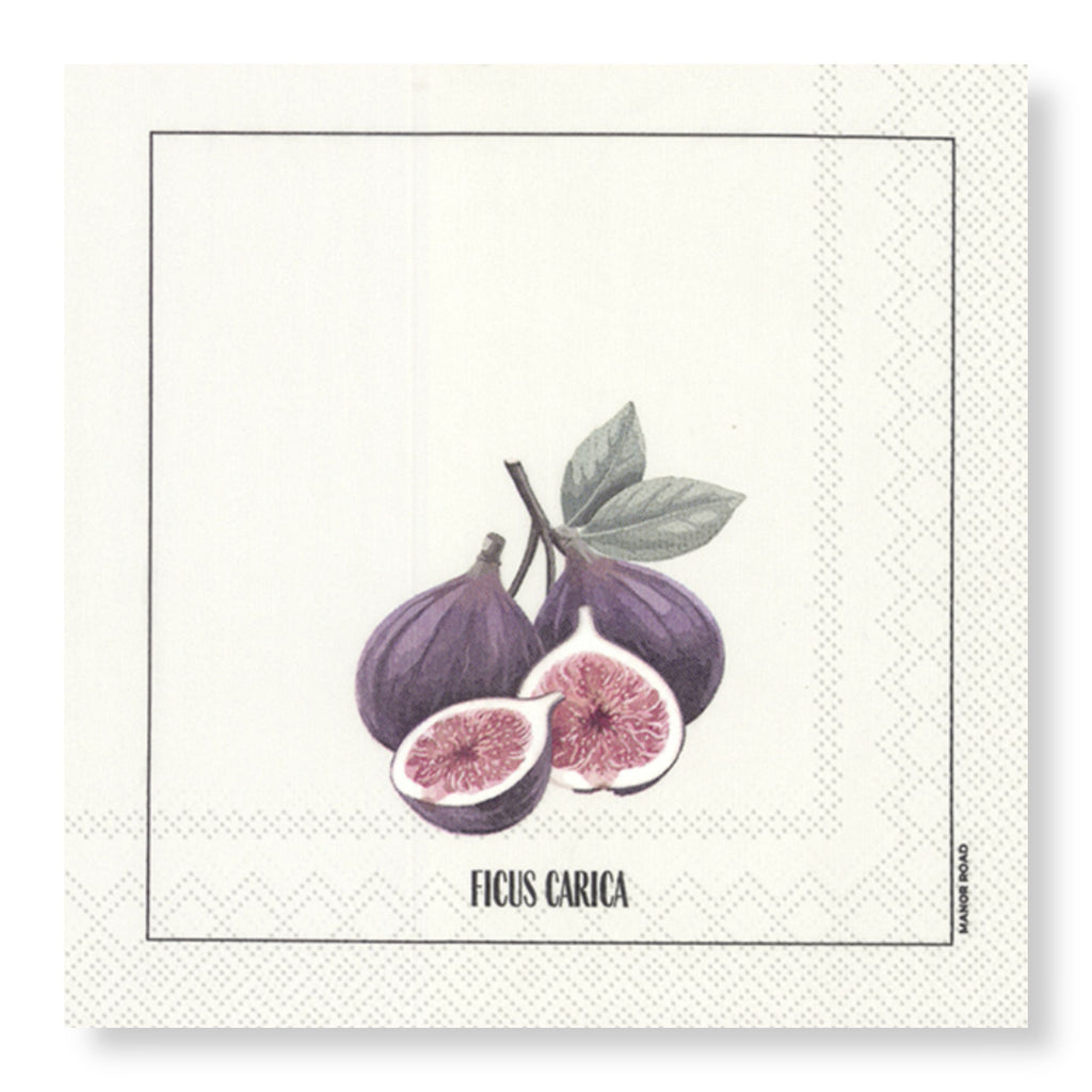 Ficus Napkins - Luncheon / Cocktail