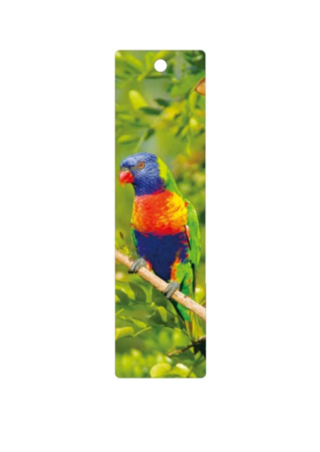 Lorikeet 3D Bookmark