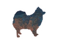magnet - resin dog teal & gold home and kitchen product