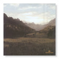 decorative the landscape napkins - dinner / luncheon / cocktail table napkins for dining and entertaining